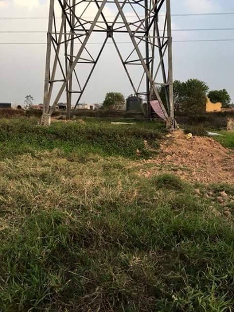 ha noi: phat hien xac chet loa the tren canh dong hinh anh 1