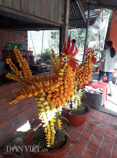 la mat cay du hinh dinh dau dat khach ngay can tet hinh anh 2