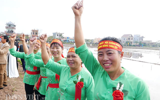 ngay hoi xuong dong: ngam nu nong dan thi cay lua nhanh, deu, dep hinh anh 2