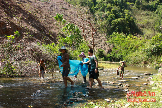 "Đặc sản" ngon và lạ từ khe suối