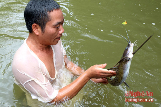 "Đặc sản" ngon và lạ từ khe suối