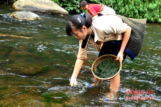 "Đặc sản" ngon và lạ từ khe suối