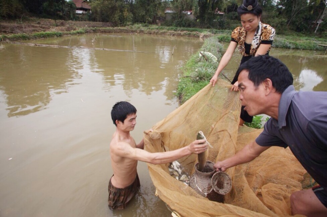 mon goi ca ngon kho cuong danh dai khach quy cua nguoi thai hinh anh 2