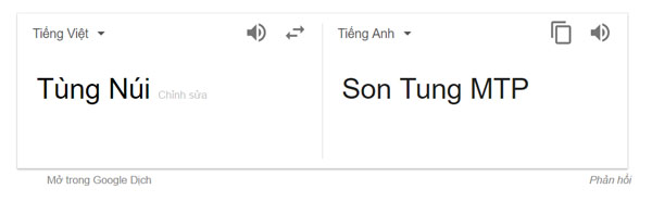 Thử lên Google dịch từ ‘Tùng Núi’ sang Tiếng Anh và cái kết bất ngờ