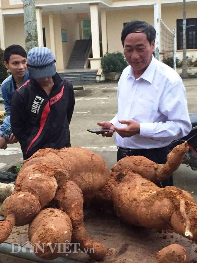 dao duoc san khung 75kg, dem trung bay mung 8.3 hinh anh 3