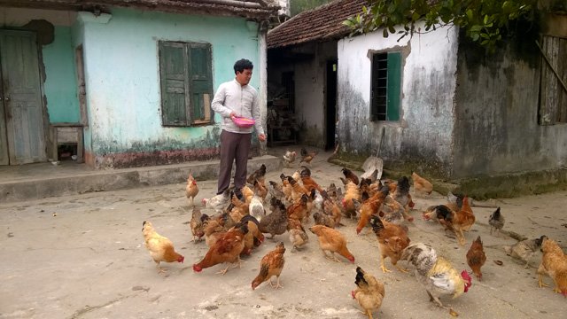 la mat, ngon mieng voi giong ga “rau” xa dao cai chien hinh anh 2