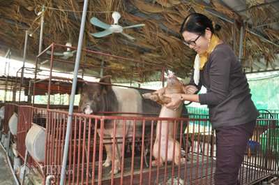 doc chieu: cho lon nghe nhac phap “hai” tien ty moi nam hinh anh 2