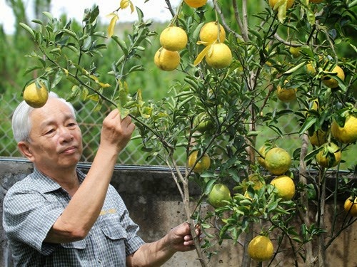 5 sieu qua dat do trong thanh cong tren dat viet hinh anh 10