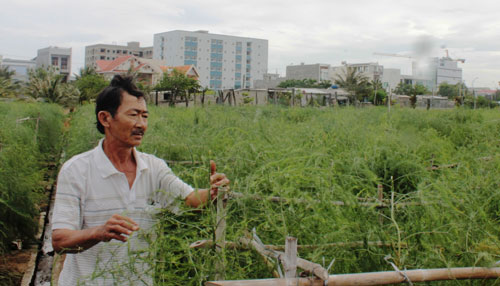 trong cay tien ty: kho tin mang tay xanh... xanh giua vung 