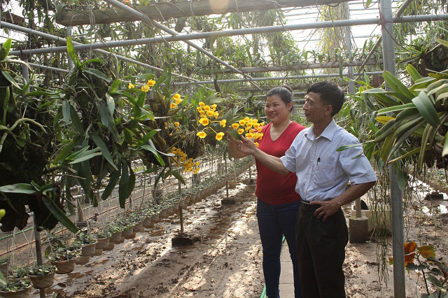 trong cay tièn tỷ: vo chong 7x vùa ngám hoa lan vùa 