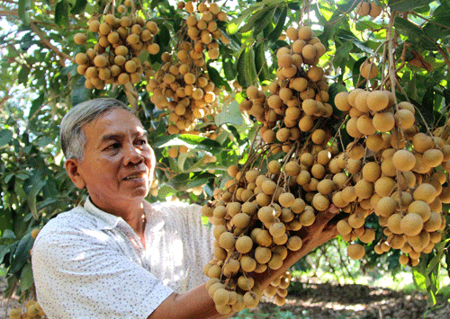 lao nong vinh long trong nhan “khang lenh troi”, thu 2 ty dong/nam hinh anh 1