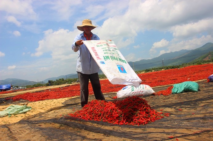 phong tay, cay mat voi nghe phoi ot… duoi troi nong 