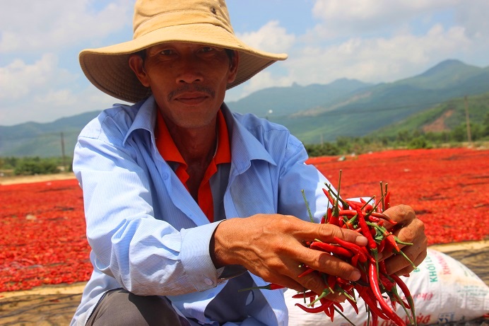 phong tay, cay mat voi nghe phoi ot… duoi troi nong 