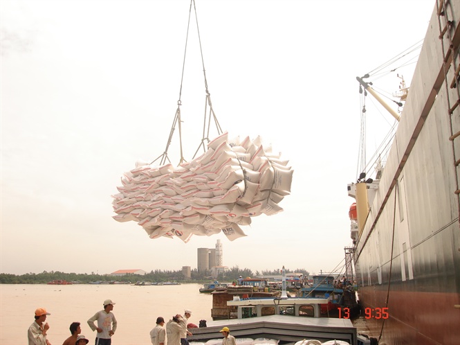 gia gao xuat khau cao nhat 3 nam qua,tiéc vì vn quá ít gạo dò hinh anh 1