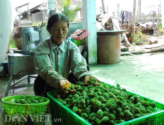 muot mat ngam 10ha kho qua rung “sach” giua dong bang hinh anh 6