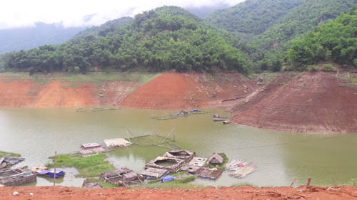 "Săn" cá hiếm, mỗi năm chỉ có một lần trong lòng hồ sông Đà