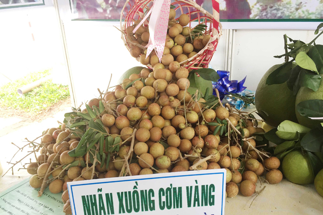 dac san miet vuon: nhan vang my duc, dat xat ra mieng hinh anh 9