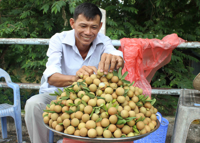 dac san miet vuon: nhan vang my duc, dat xat ra mieng hinh anh 10