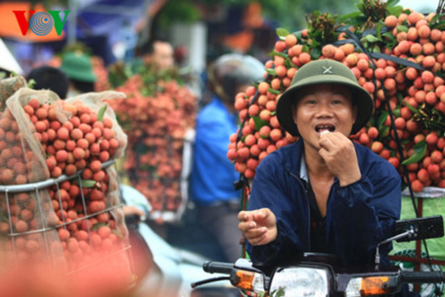 vai thieu luc ngan vietgap gia cao gap 2 – 3 lan, van 