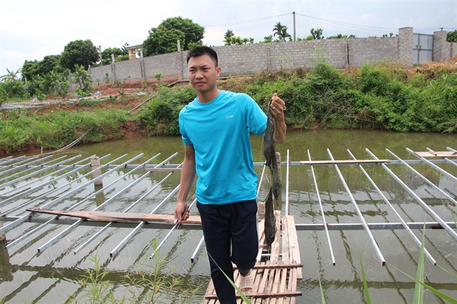 nuoi trai trong ao nha de cay ngoc, 9x bac giang kiem tien ty hinh anh 1