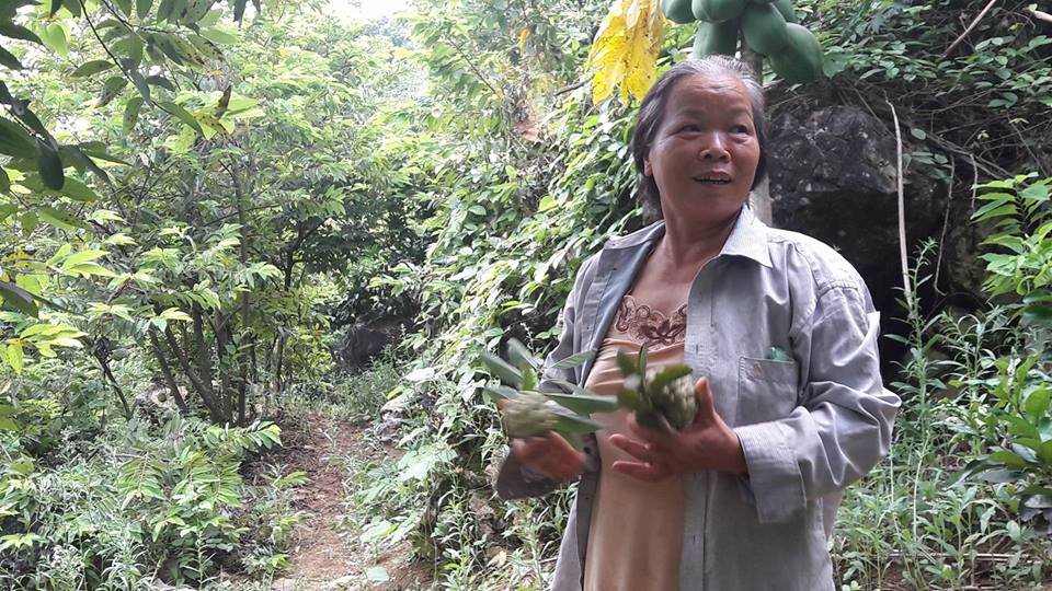 hoc da hoa goc na, nong dan hoa binh kiem bon tien tren nui da hinh anh 3