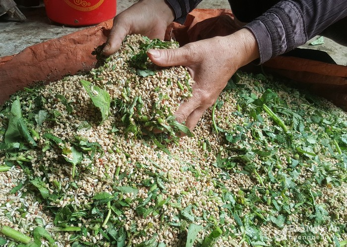 la ma hay: ga de son son nho duoc nghe nhung ban nhac du duong hinh anh 3