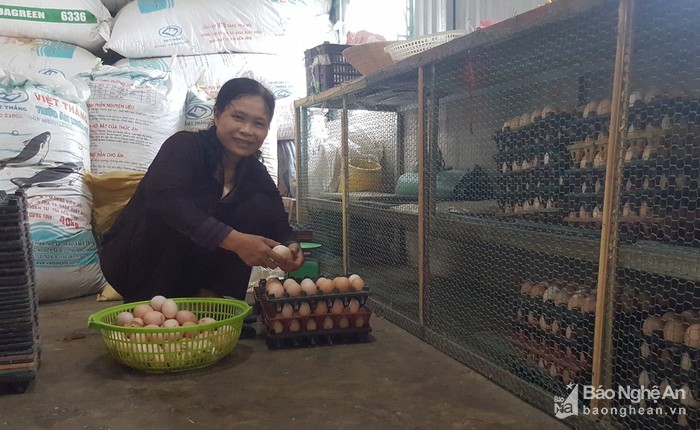 la ma hay: ga de son son nho duoc nghe nhung ban nhac du duong hinh anh 9