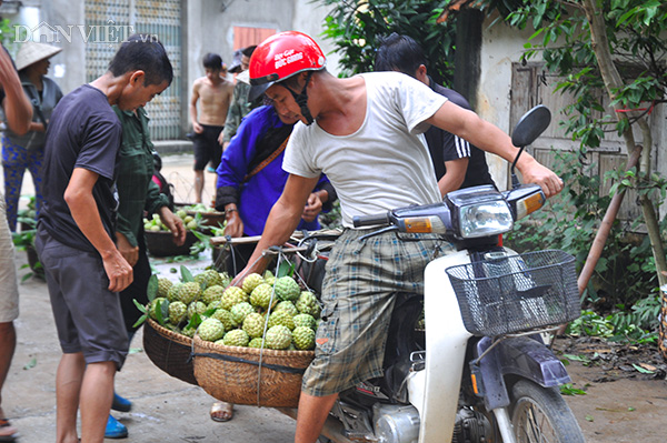 nhon nhip cho na cuoi vu o 