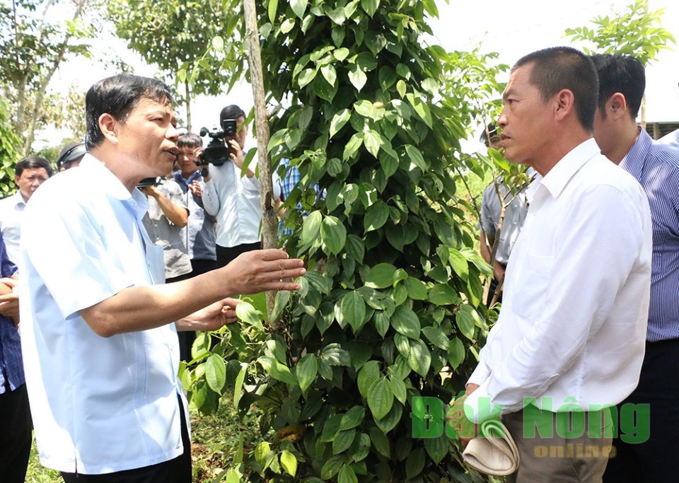 la ma hay: mac ke bi keu dien, tuot trui la tieu, ep cay ra trai vu hinh anh 1