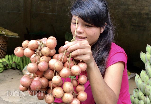 ua nuoc mieng trai cop rung khoai khau chua e rang cua nguoi kor hinh anh 1