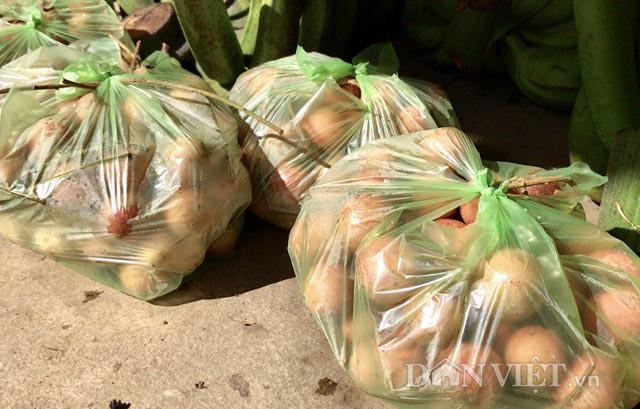 ua nuoc mieng trai cop rung khoai khau chua e rang cua nguoi kor hinh anh 5