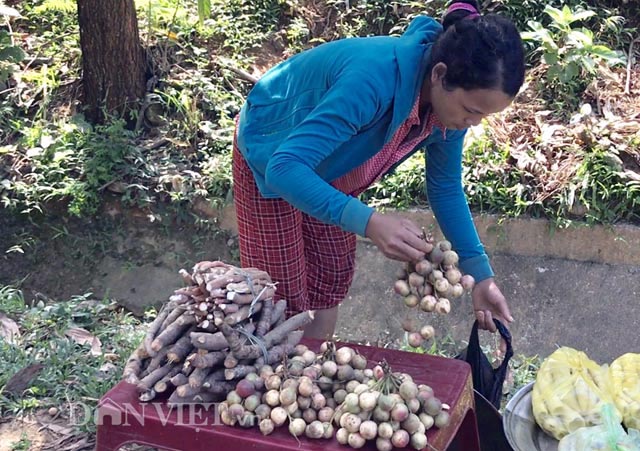 ua nuoc mieng trai cop rung khoai khau chua e rang cua nguoi kor hinh anh 4