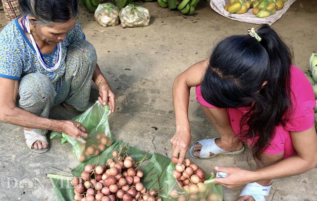 ua nuoc mieng trai cop rung khoai khau chua e rang cua nguoi kor hinh anh 3