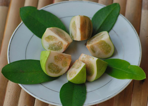 Việt Nam ngỡ là quả dại, sang viet nam ngo la qua dai, sang