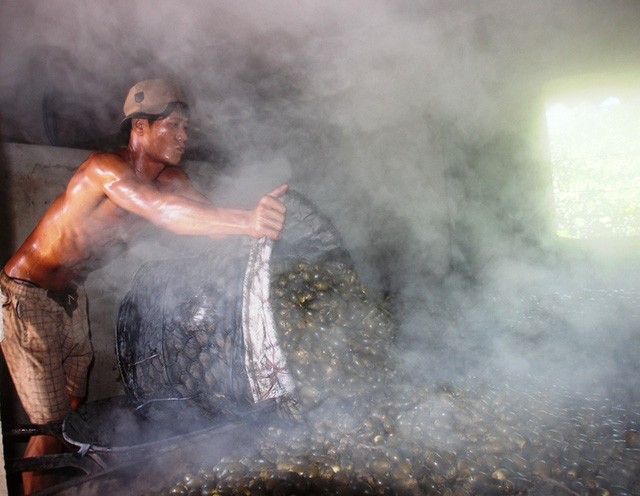 lung mua cau non, gia cao ky luc ban sang trung quoc de lam... keo? hinh anh 3