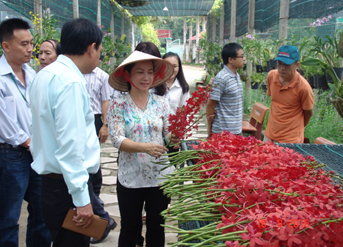 "Người đẹp quý bà" hơn 10 năm làm nên "Vườn lan huyền thoại"