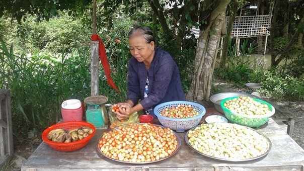 Chuyện lạ: Cây chuyen la: cay