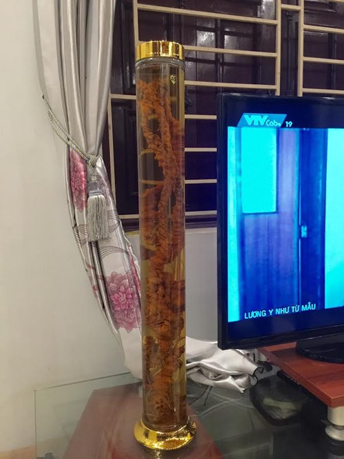 tam that co dai 1 met, dai gia dai loan mua duoc gia 200 trieu dong hinh anh 3