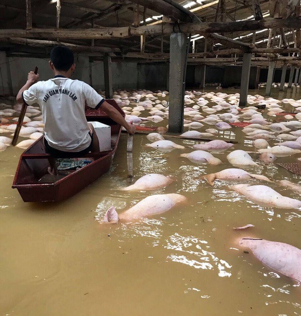 nong trong ngay: dau long hinh anh nguoi va lon phut giay sinh tu hinh anh 5