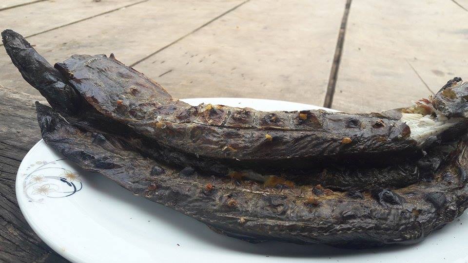 nha nong lam giau: chach chau 1 trieu/kg, tri yeu sinh ly nam gioi hinh anh 3