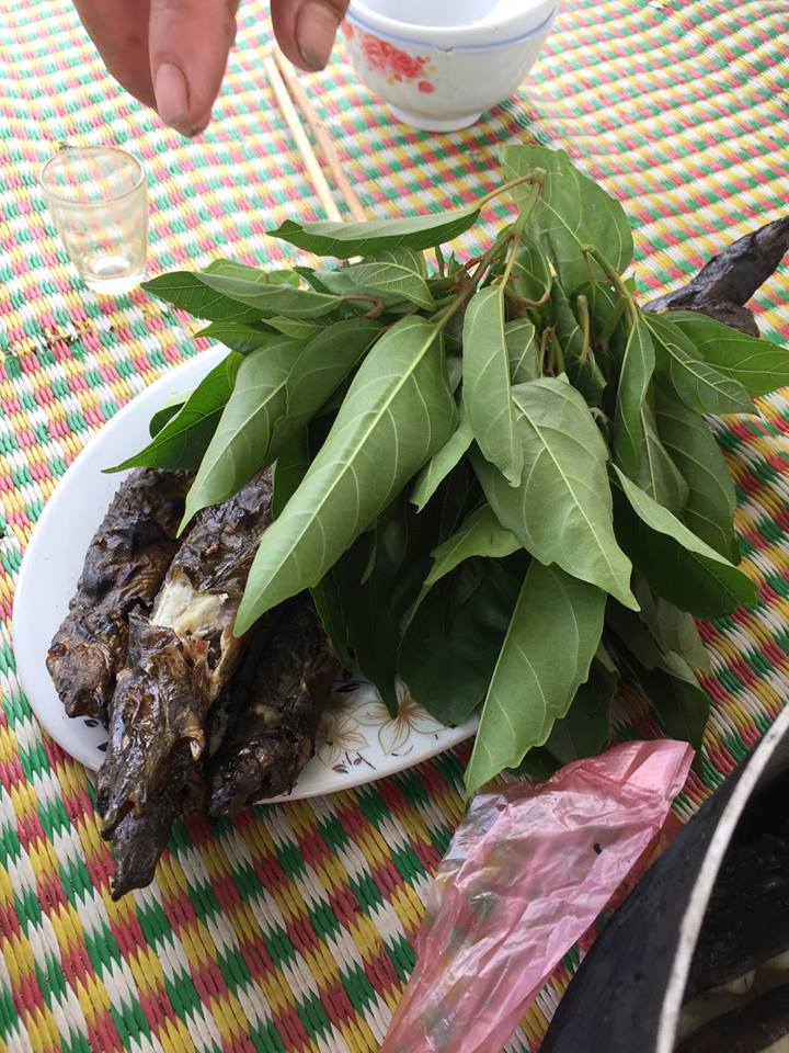 nha nong lam giau: chach chau 1 trieu/kg, tri yeu sinh ly nam gioi hinh anh 4