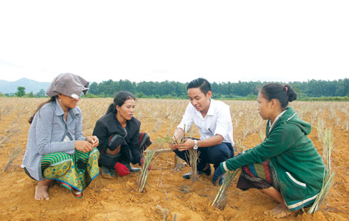 "Trai đẹp" bỏ về quê cùng chị em nấu dầu sả trên vùng đất lửa