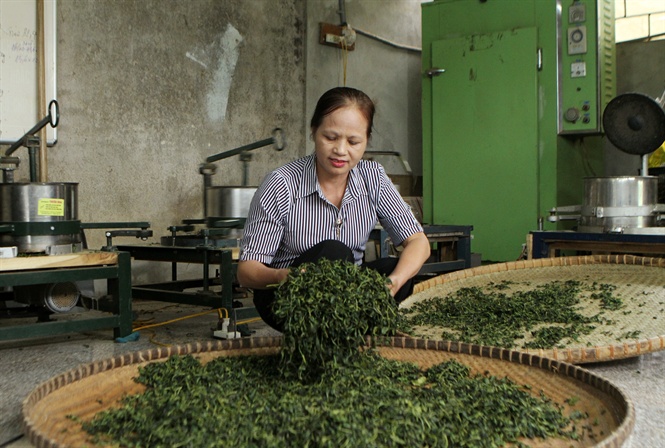 hanh trinh dua bo doi tra thai nguyen lam qua tang tai dien dan apec hinh anh 3