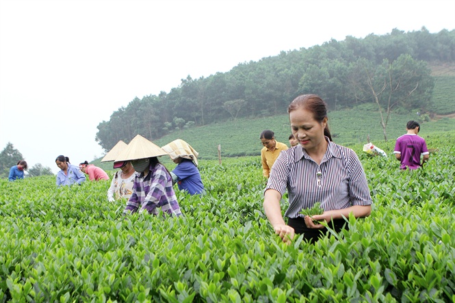 hanh trinh dua bo doi tra thai nguyen lam qua tang tai dien dan apec hinh anh 4