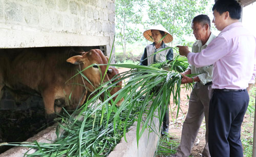 von trao tay, chi em co ngay dan bo, ao ca hinh anh 1