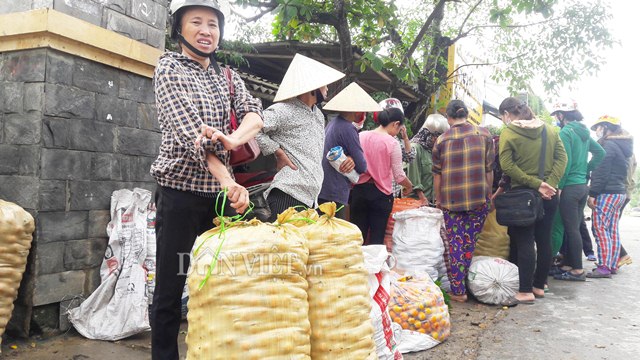 ve xu so hong khong hat co thu, nguoi dan thu 8 ty moi vu hinh anh 3