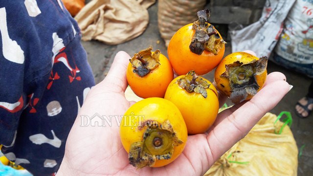 ve xu so hong khong hat co thu, nguoi dan thu 8 ty moi vu hinh anh 4