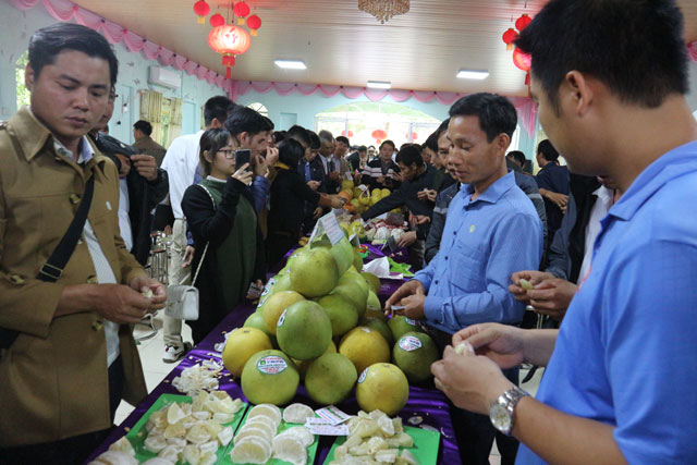 300 nong dan cac tinh mang buoi ngon bac nhat ve khoe sac o ha noi hinh anh 9