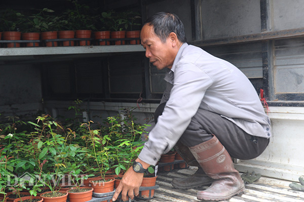 ke giam doc, nguoi giang vien cung ru nhau ve 