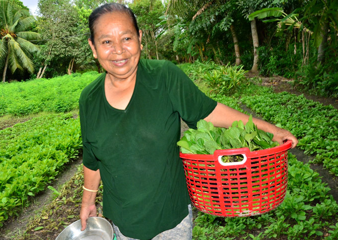 chi trong rau cai 3 thang mua nuoc noi, nong dan lai 20 trieu hinh anh 4